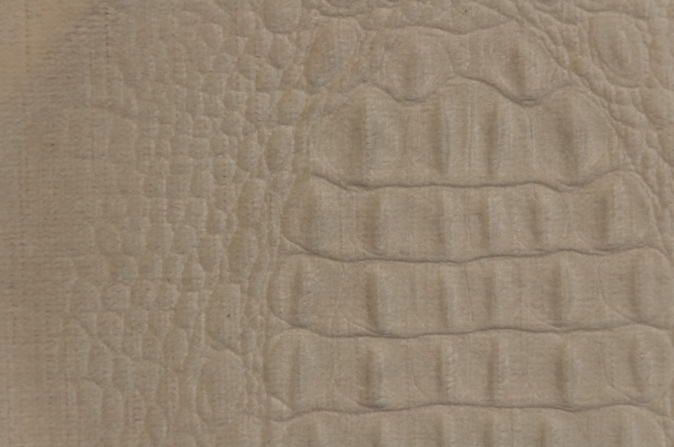 MEDEA BIRCH Burton James