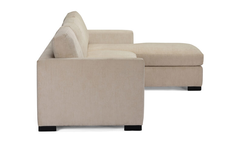 BurtonJames_Essentials2201_Sectional_1