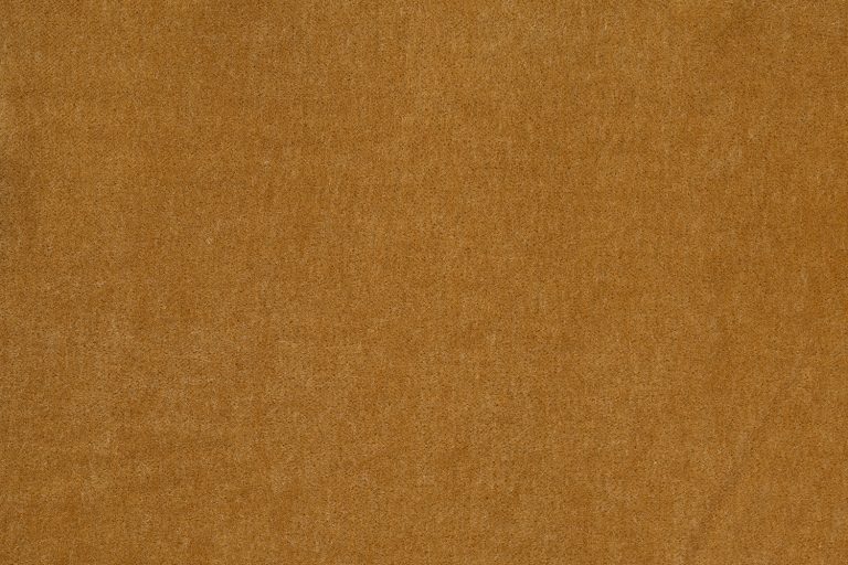 BurtonJames_Swatch_Newport_Camel