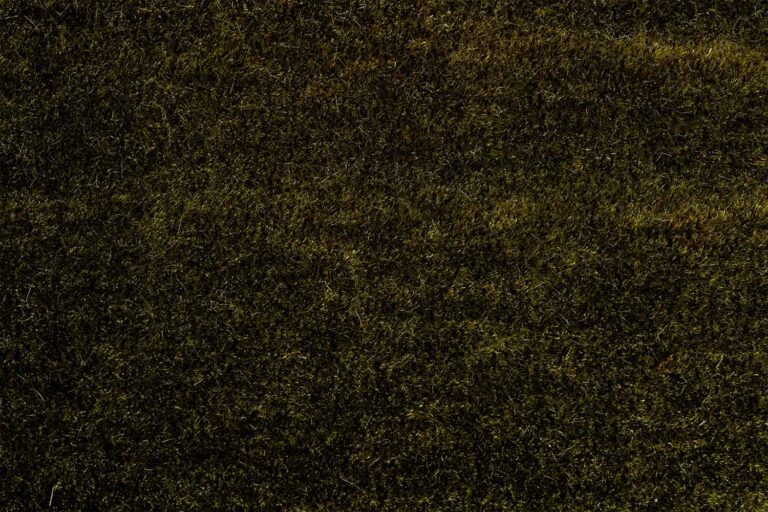 BurtonJames_Swatch_Newport_Olive